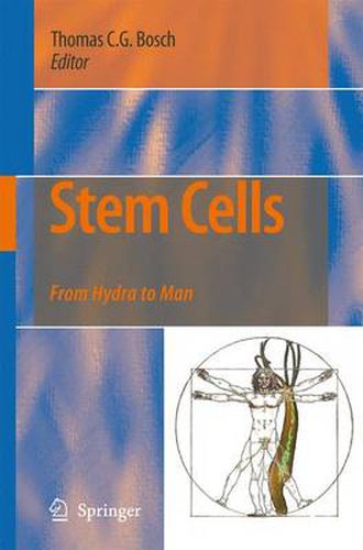 Cover image for Stem Cells: From Hydra to Man