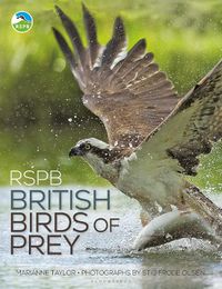 Cover image for RSPB British Birds of Prey