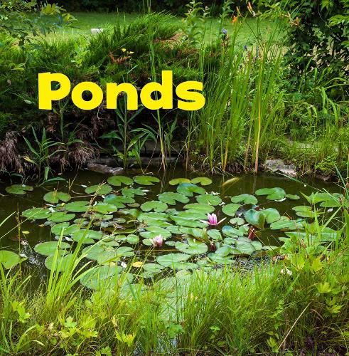 Cover image for Ponds