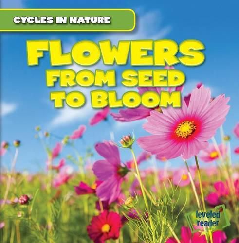 Cover image for Flowers: From Seed to Bloom