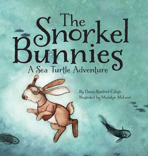 Cover image for The Snorkel Bunnies