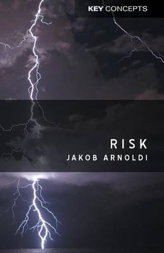Cover image for Risk