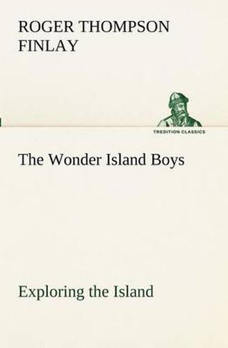 Cover image for The Wonder Island Boys: Exploring the Island