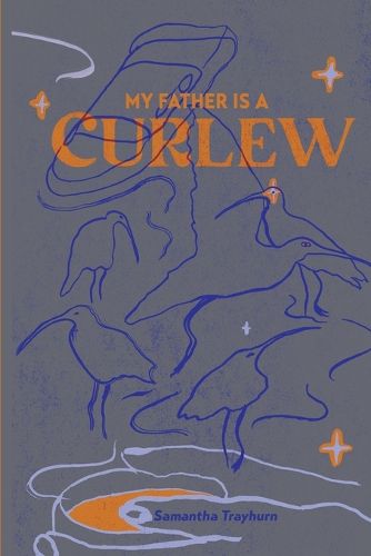 Cover image for My Father is a Curlew