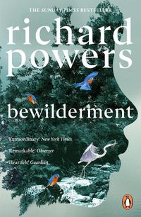 Cover image for Bewilderment