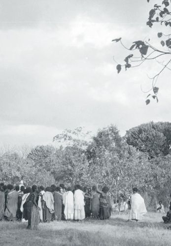 Cover image for The Sidaama