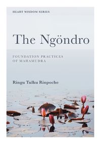 Cover image for The Ngondro, Preliminary Practices to Mahamudra