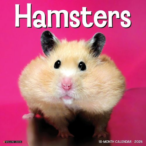 Cover image for Hamsters 2026 12 X 12 Wall Calendar
