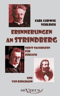 Cover image for Erinnerungen an Strindberg nebst Nachrufen fur Ehrlich und von Bergmann: Aus Fraktur ubertragen