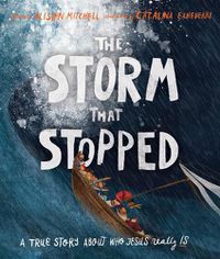 Cover image for The Storm That Stopped Storybook: A true story about who Jesus really is