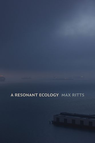 Cover image for A Resonant Ecology