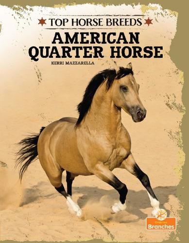 Cover image for American Quarter Horse