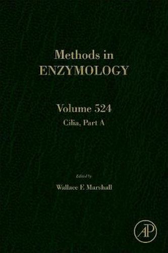 Cover image for Cilia, Part A
