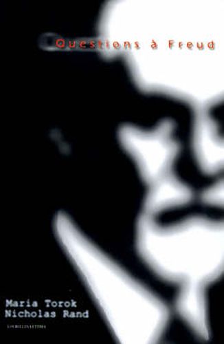 Cover image for Questions A Freud: Du Devenir De La Psychanalyse