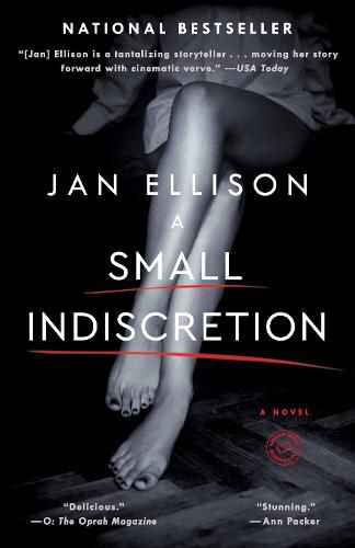 Cover image for A Small Indiscretion: A Novel