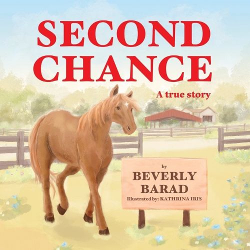 Cover image for Second Chance