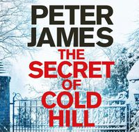 Cover image for The Secret Of Cold Hill