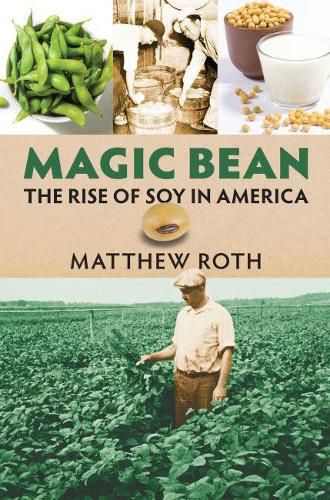 Cover image for Magic Bean: The Rise of Soy in America