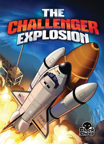 Cover image for The Challenger Explosion