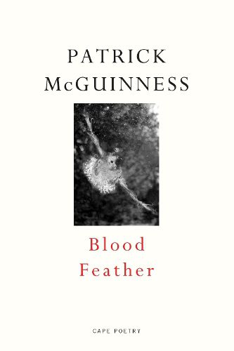 Cover image for Blood Feather