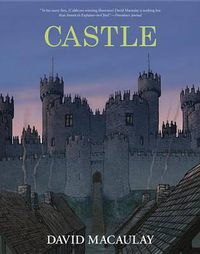 Cover image for Castle