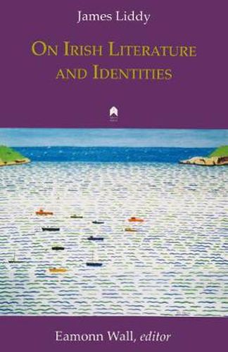 Cover image for On Irish Literature and Identities