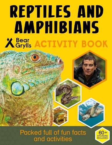 Cover image for Bear Grylls Sticker Activity: Reptiles & Amphibians