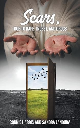 Cover image for Scars, due to Rape, Incest, and Drugs