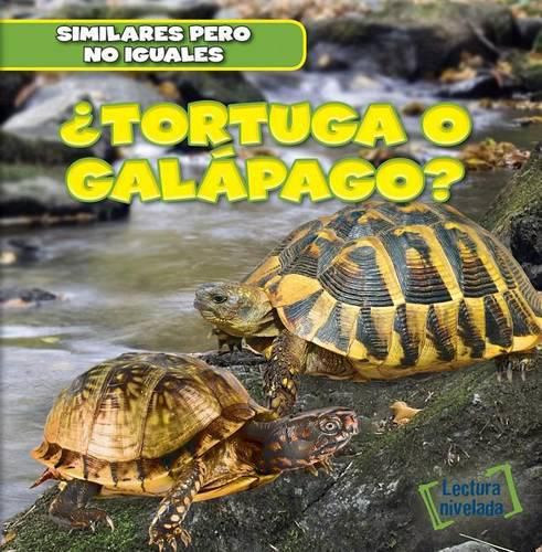 Cover image for ?Tortuga O Galapago? (Turtle or Tortoise?)