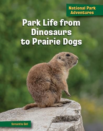 Cover image for Park Life from Dinosaurs to Prairie Dogs