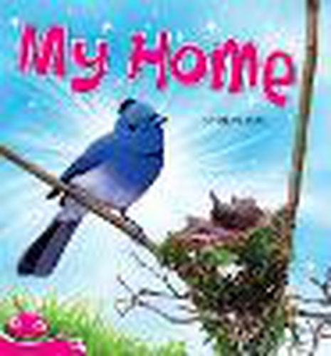 Cover image for Bug Club Level  2 - Pink: My Home (Reading Level 2/F&P Level B)