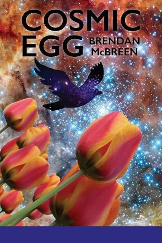 Cover image for Cosmic Egg