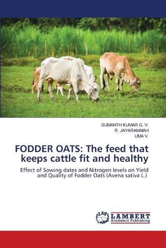 Fodder Oats: The feed that keeps cattle fit and healthy