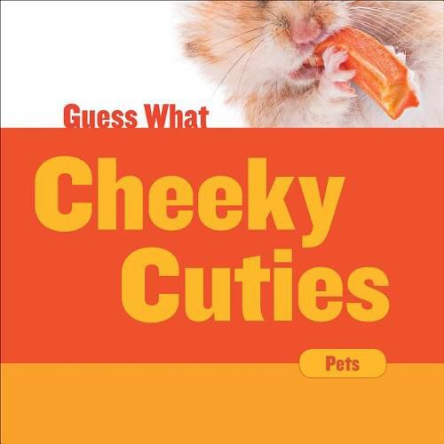 Cover image for Cheeky Cuties: Hamster