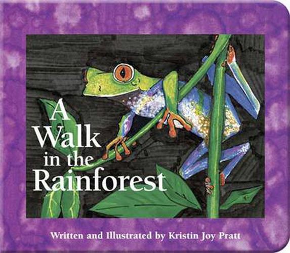 Cover image for A Walk in the Rainforest