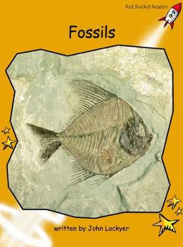 Cover image for Red Rocket Readers: Fluency Level 4 Non-Fiction Set A: Fossils (Reading Level 21/F&P Level M)