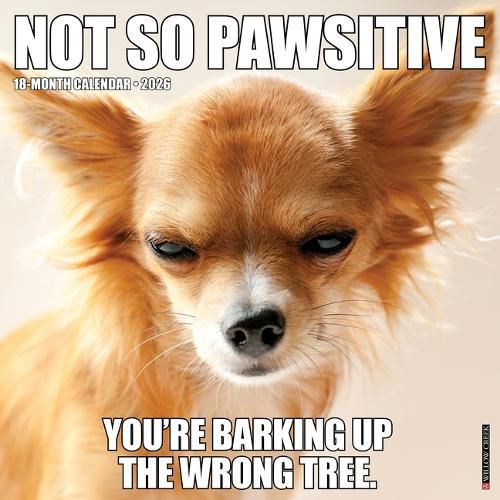 Cover image for Not So Pawsitive 12 X 12 Wall Calendar