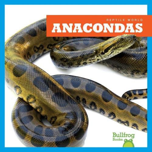 Cover image for Anacondas