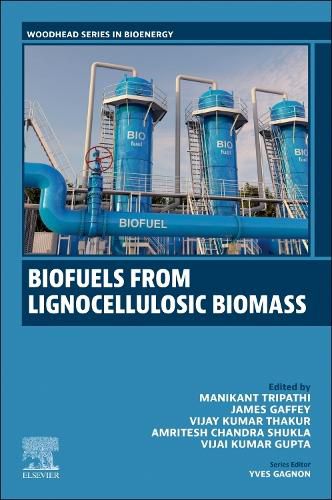 Cover image for Biofuels from Lignocellulosic Materials