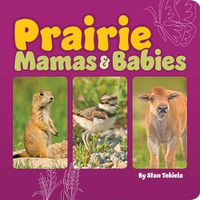 Cover image for Prairie Mamas and Babies