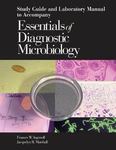 Cover image for Study Guide and Laboratory Manual to Accompany Essentials of Diagnostic Microbiology