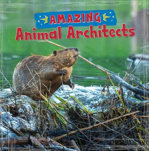 Cover image for Amazing Animal Architects