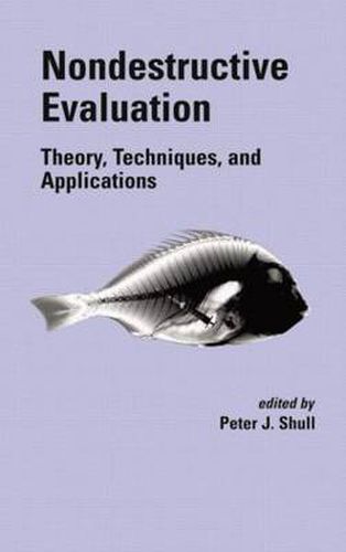 Cover image for Nondestructive Evaluation: Theory, Techniques, and Applications
