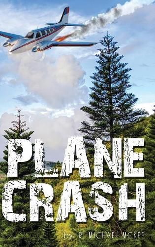 Cover image for Plane Crash