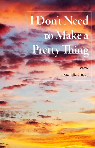 Cover image for I Don't Need to Make a Pretty Thing