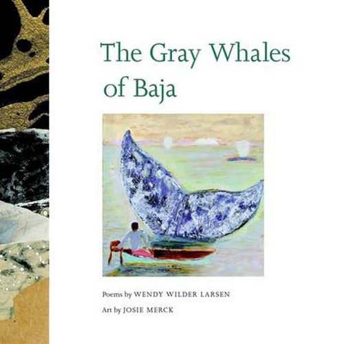 Cover image for The Gray Whales of Baja