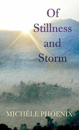 Cover image for Of Stillness and Storm