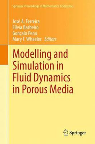 Cover image for Modelling and Simulation in Fluid Dynamics in Porous Media