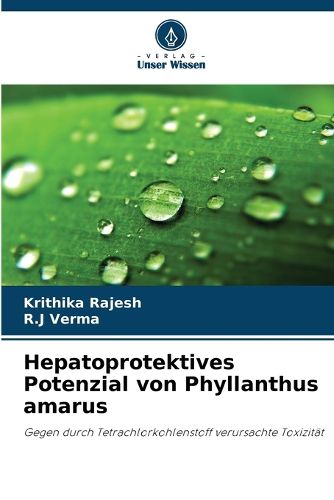 Cover image for Hepatoprotektives Potenzial von Phyllanthus amarus