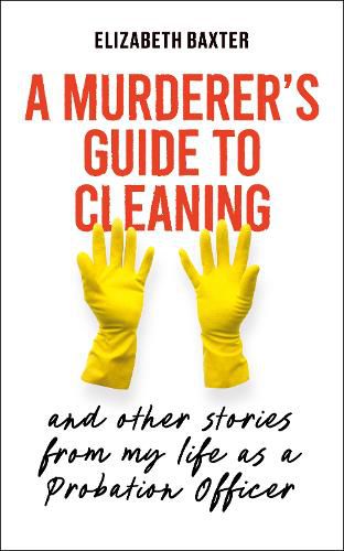 Cover image for A Murderer's Guide to Cleaning
